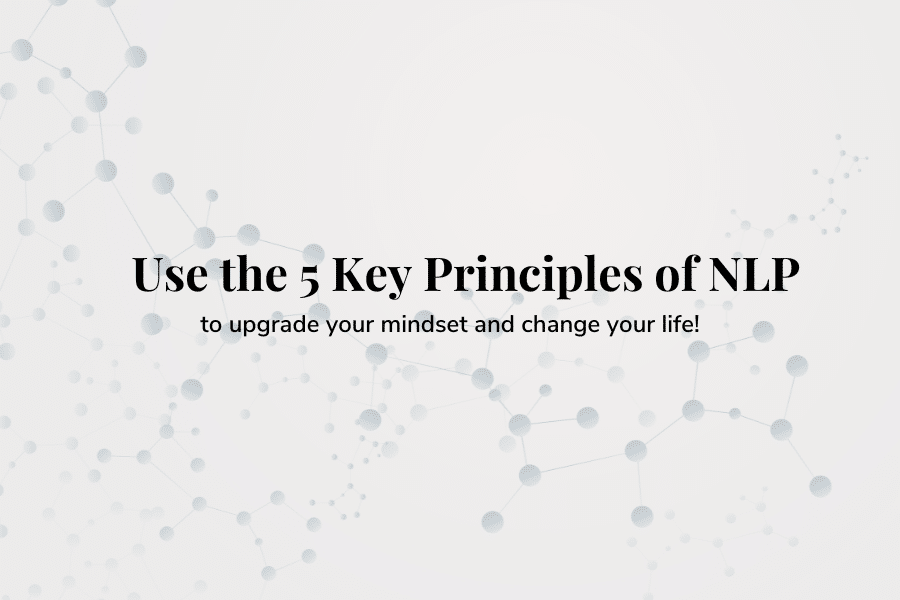 principles of NLP